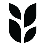 grain.com.sg-logo